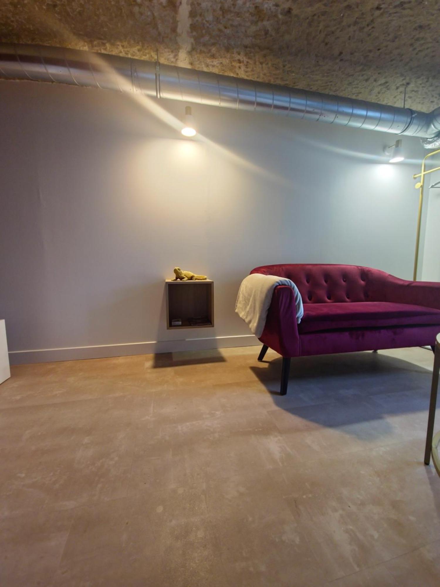 Le Cocon Troglodyte Apartment Saint-Etienne-de-Chigny ภายนอก รูปภาพ
