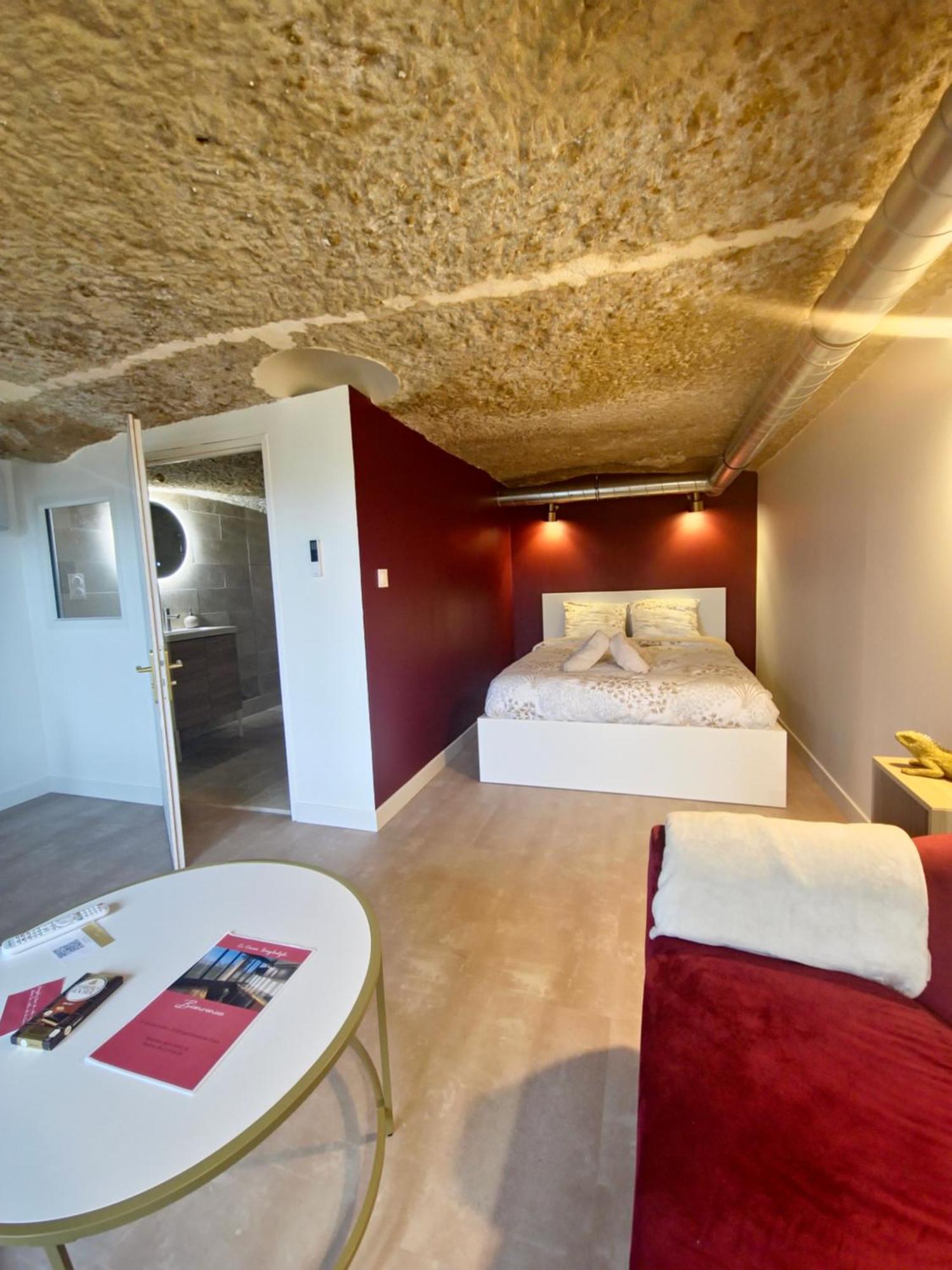 Le Cocon Troglodyte Apartment Saint-Etienne-de-Chigny ภายนอก รูปภาพ